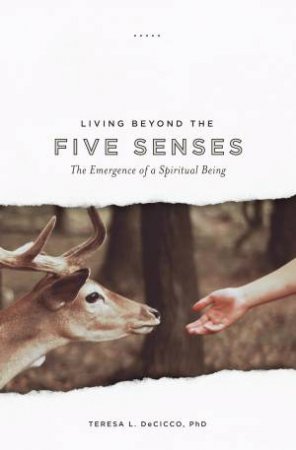 Living Beyond the Five Senses by Teresa L. DeCicco