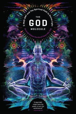 The God Molecule by Martin W. Ball & Gerado Ruben Sandoval Isaac