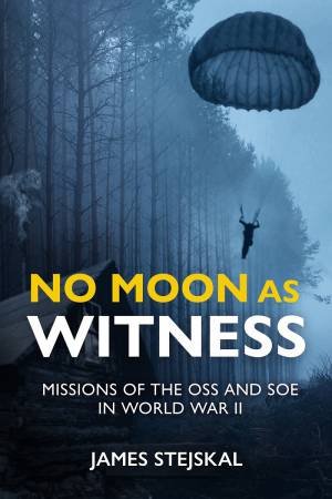 No Moon As Witness by James Stejskal