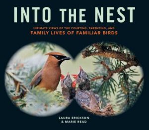 Into the Nest by ERICKSON / READ