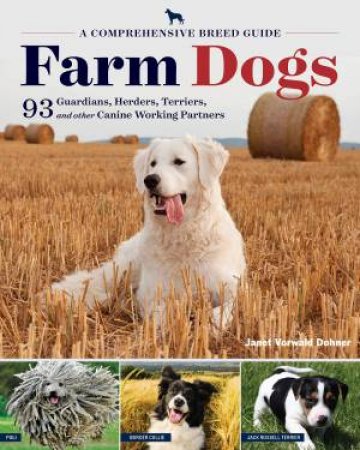 Farm Dogs by JANET V DOHNER