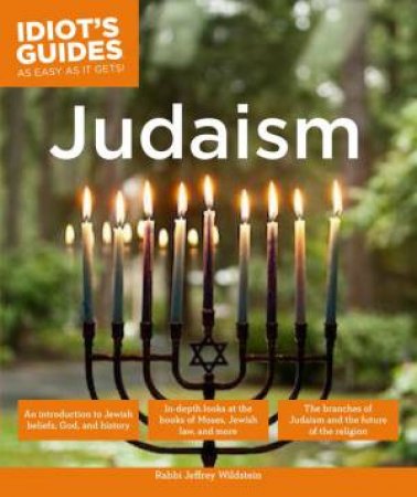 Idiot's Guides: Judaism by Jeffrey Wildstein