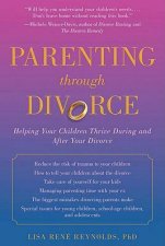 Parenting Through Divorce Helping Your Children Thrive During and After the Split