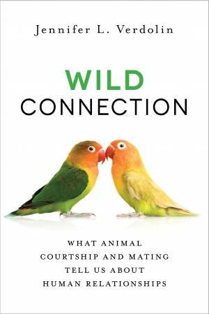 Wild Connection by Jennifer L. Verdolin