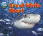 The Deep End Great White Shark