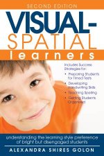 VisualSpatial Learners