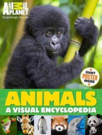 Animal Planet: Animals: A Visual Encyclopedia by Various