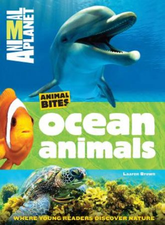 Animal Planet: Animal Bites: Ocean Animals by Various