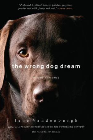 Wrong Dog Dream by Jane Vandenburgh