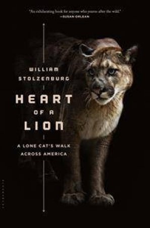 Heart Of A Lion: A Lone Cat's Walk Across America by William Stolzenburg