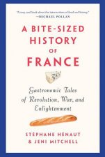 A BiteSized History Of France