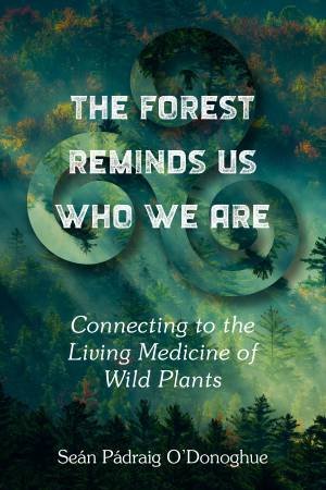 The Forest Reminds Us Who We Are by Sean Padraig O'Donoghue