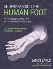 Understanding The Human Foot