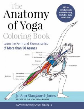 The Anatomy Of Yoga Coloring Book by Jo Ann Staugaard-Jones