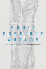 Sonic Possible Worlds