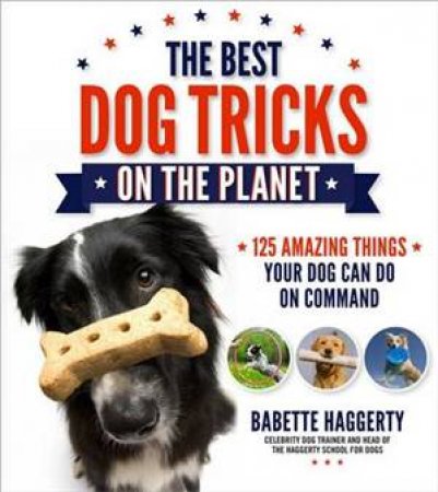 The Best Dog Tricks on the Planet by Babette Haggerty