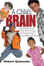 A Childs Brain Understanding How the Brain Works Develops and Changes During the Critical Stages of Childhood