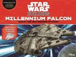 Star Wars Builders Millennium Falcon