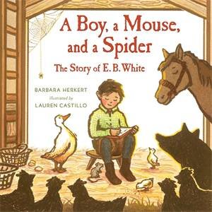 A Boy, A Mouse, And A Spider by Barbara Herkert