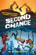 Second Chance