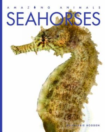 Seahorses by Valerie Bodden