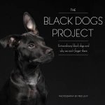 Black Dog Project