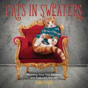 Cats In Sweaters by Jonah Stern