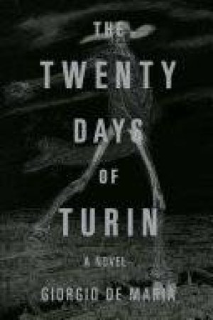 The Twenty Days of Turin a Novel by Giorgio De Maria