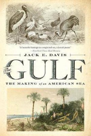 The Gulf The Making Of An American Sea by Jack E. Davis