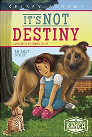 It's Not Destiny: An Abby Story by Kelsey Abrams