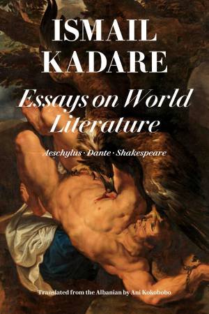 Essays On World Literature by Ismail Kadare