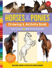 Horses  Ponies Drawing  Activity Book