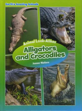 Alligators and Crocodiles by Mattern Joanne