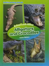 Alligators and Crocodiles