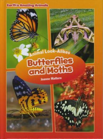 Butterflies and Moths by Mattern Joanne