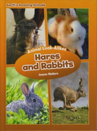 Hares and Rabbits by Mattern Joanne