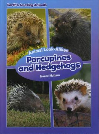 Porcupines and Hedgehogs by Mattern Joanne