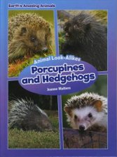 Porcupines and Hedgehogs