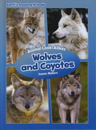 Wolves and Coyotes by Mattern Joanne