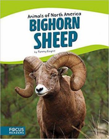 Animals of North America: Bighorn Sheep by TAMMY GAGNE