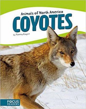 Animals of North America: Coyotes by TAMMY GAGNE