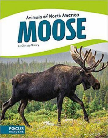 Animals of North America: Moose by CHRISTY MIHALY