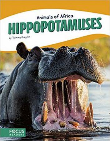 Animals Of Africa: Hippopotamuses by Tammy Gagne