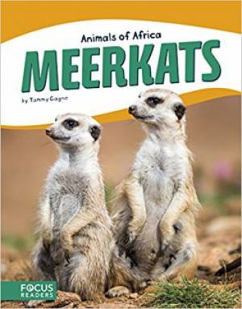 Animals Of Africa: Meerkats by Tammy Gagne