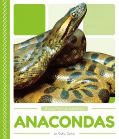 Rain Forest Animals: Anacondas by Golriz Golkar