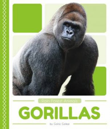 Rain Forest Animals: Gorillas by Golriz Golkar