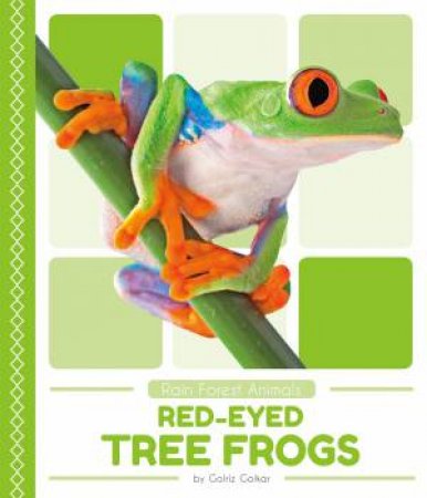 Rain Forest Animals: Red-Eyed Tree Frogs by Golriz Golkar