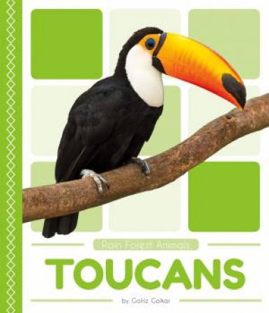 Rain Forest Animals: Toucans by Golriz Golkar