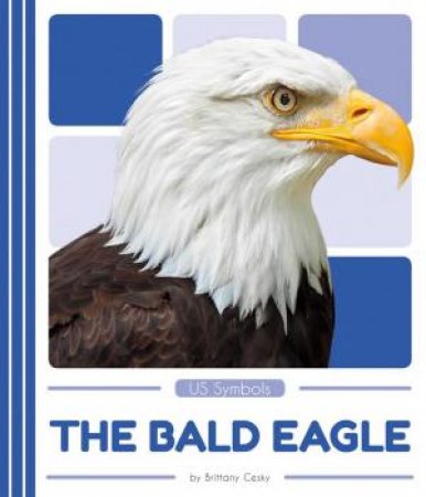 US Symbols: The Bald Eagle by BRITTANY CESKY