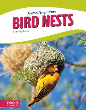 Animal Engineers: Bird Nests by Stacy Tornio